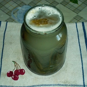 What to do if the cucumbers in the jar become cloudy: how to correct mistakes and prevent them in future preparations