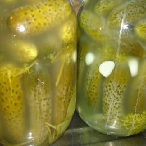 What to do if the cucumbers in the jar become cloudy: how to correct mistakes and prevent them in future preparations