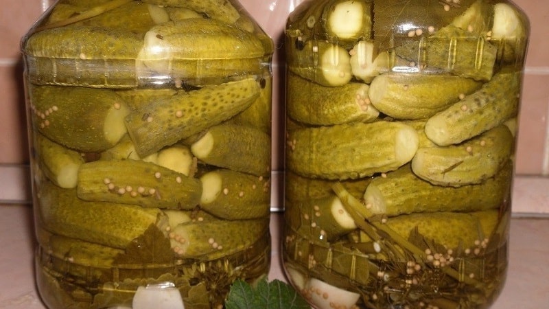 What to do if the cucumbers in the jar become cloudy: how to correct mistakes and prevent them in future preparations