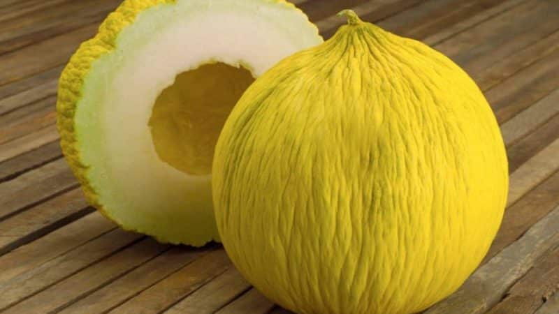 What is good about Kassaba melon, how to choose and grow it