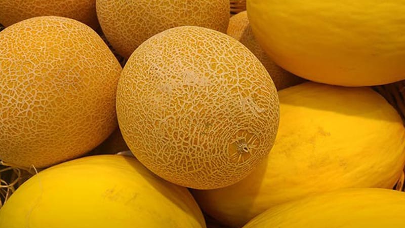 Delicious recipes for melon preparations for the winter - you'll lick your fingers!