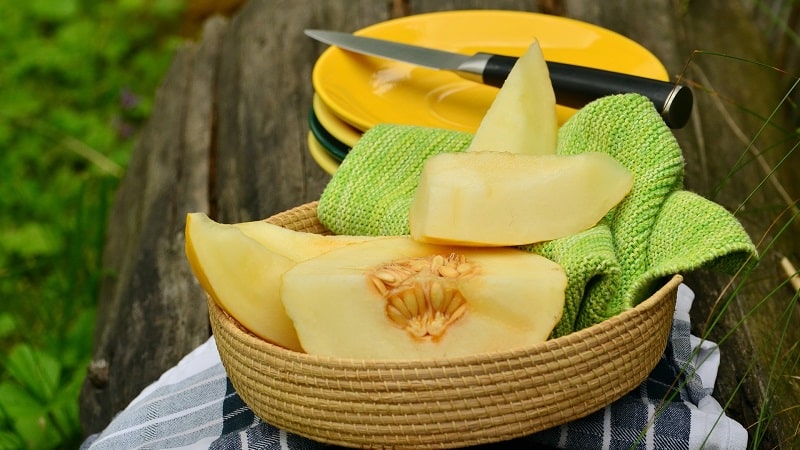 Effective melon diets for weight loss: reviews and calorie content