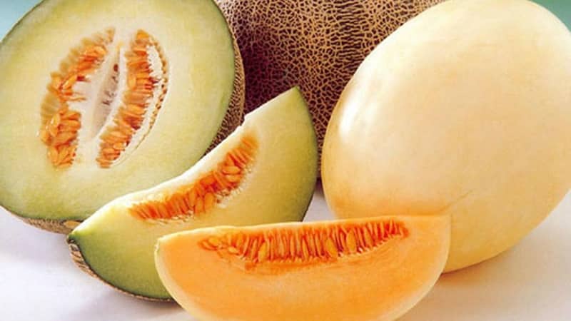Effective melon diets for weight loss: reviews and calorie content