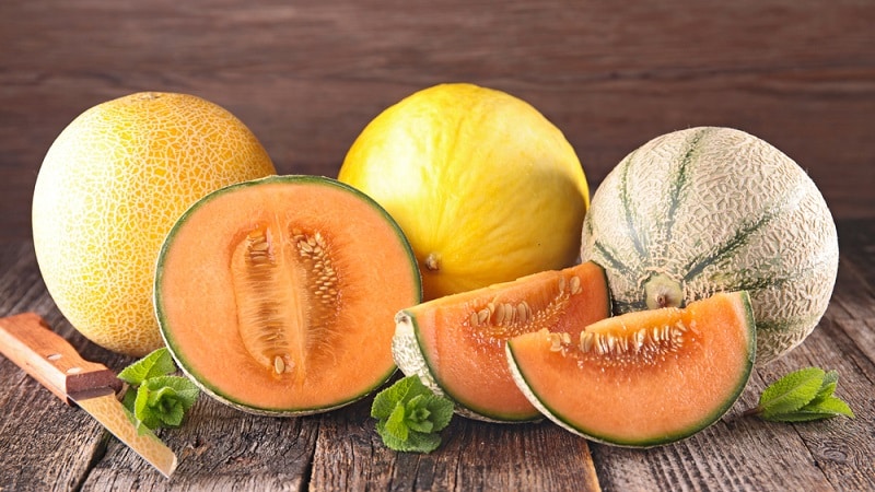 Effective melon diets for weight loss: reviews and calorie content