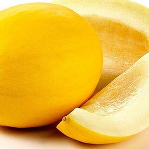 Where and how to preserve melon until the New Year at home