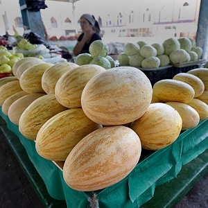 Where and how to preserve melon until the New Year at home