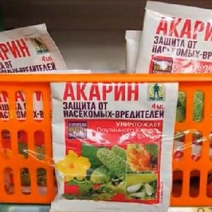 How to effectively control aphids on peppers without harming the crop