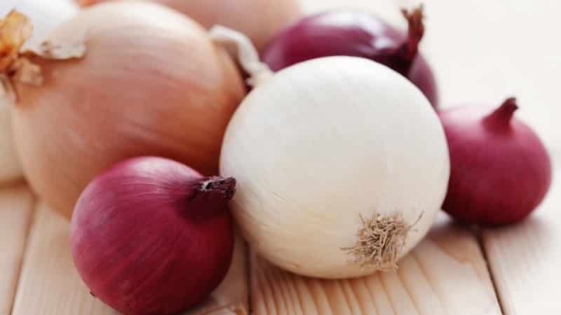 How to eat onions for weight loss: recipes for dietary dishes