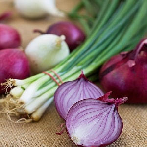 How to eat onions for weight loss: recipes for dietary dishes