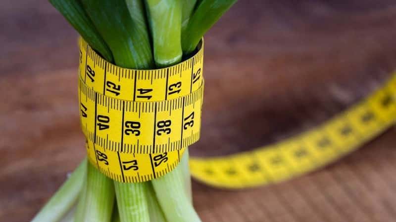 How to eat onions for weight loss: recipes for dietary dishes