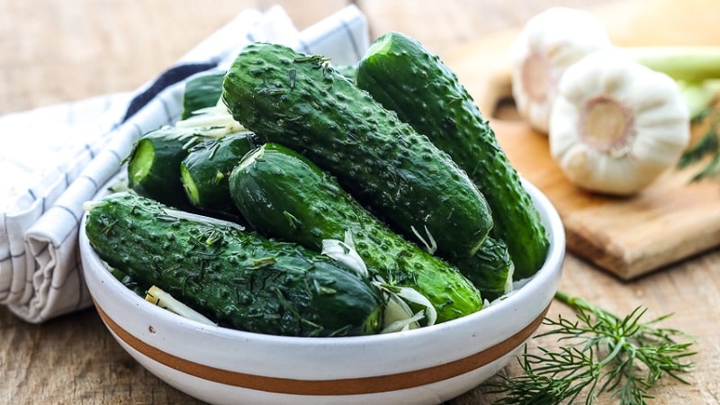 How to store lightly salted cucumbers after pickling so that they do not spoil or become oversalted