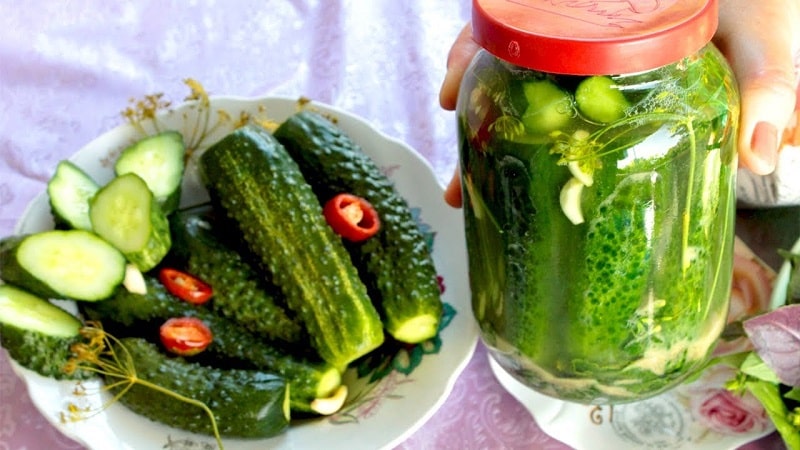 How to store lightly salted cucumbers after pickling so that they do not spoil or become oversalted