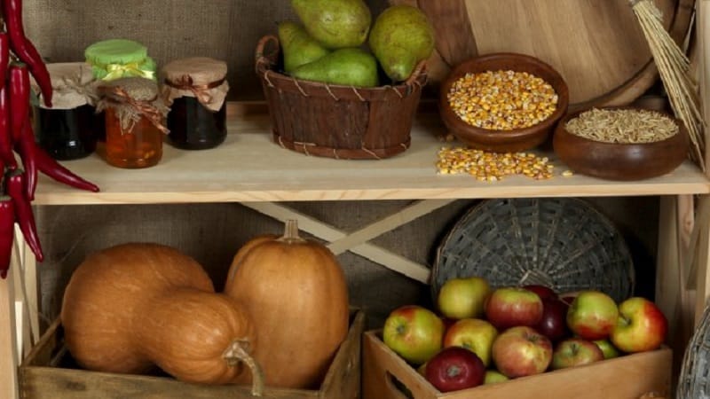 How to store pumpkin in the cellar for the winter: create favorable conditions to avoid spoilage of the vegetable