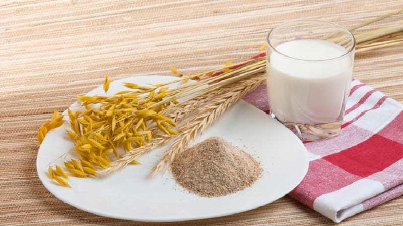 How to drink oats to cleanse the body at home