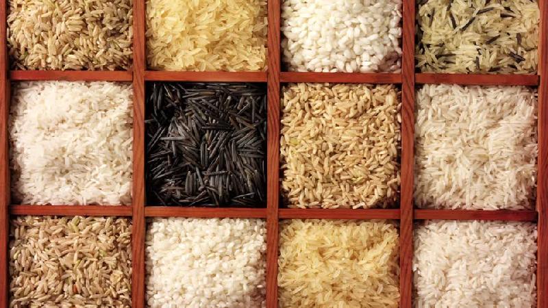 How to properly store rice at home and how long it can be stored
