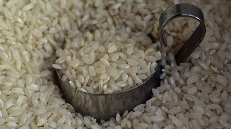 How to properly store rice at home and how long it can be stored