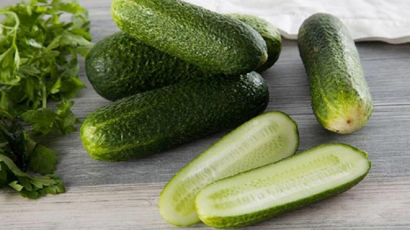 How to properly grow the Dutch hybrid cucumber Trilogy f1 to achieve a good harvest