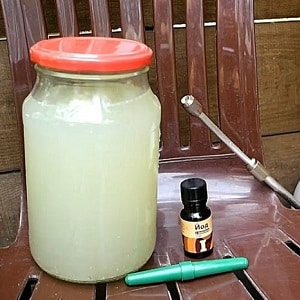 How to use late blight serum on tomatoes: fight the disease effectively, quickly and on a budget