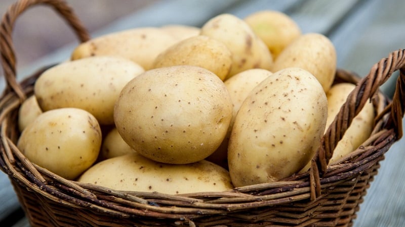 Buying harmless vegetables: how to test potatoes for nitrates at home and why this is needed