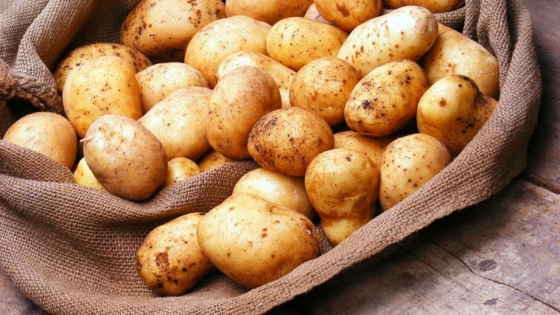 Buying harmless vegetables: how to test potatoes for nitrates at home and why this is needed