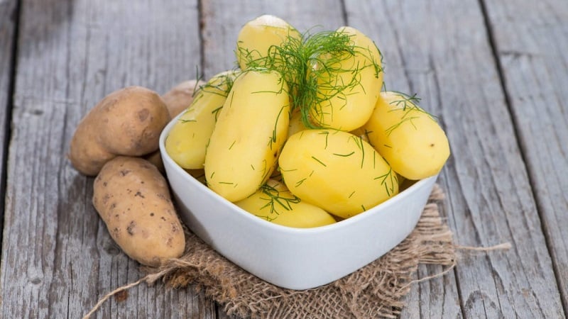 Buying harmless vegetables: how to test potatoes for nitrates at home and why this is needed