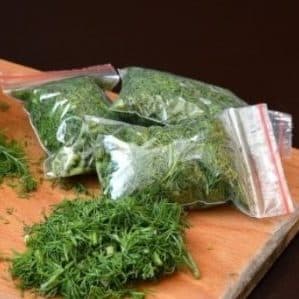 How to preserve dill for the winter at home: the best storage methods