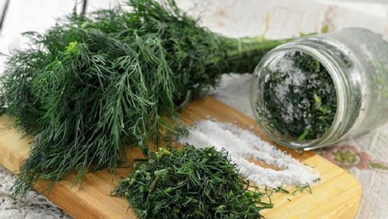 How to preserve dill for the winter at home: the best storage methods