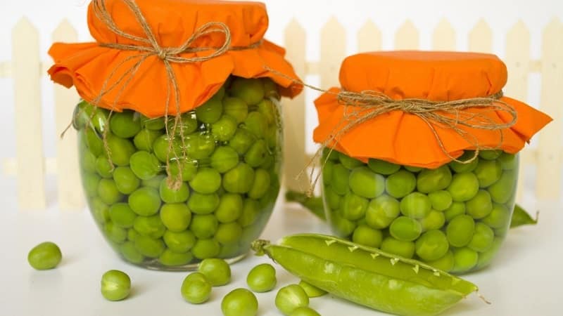 How to preserve green peas for the winter: we protect the crop from spoilage in three different ways