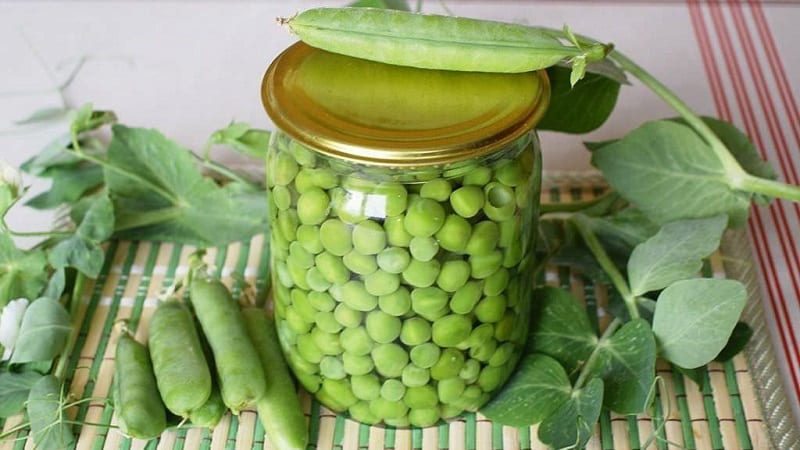 How to preserve green peas for the winter: we protect the crop from spoilage in three different ways