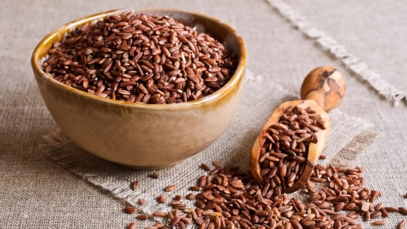 Calorie content and beneficial properties of brown rice for the human body