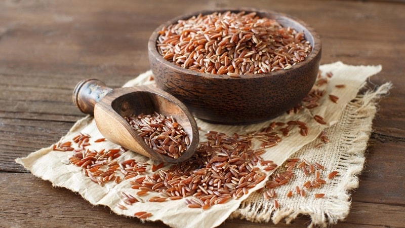Calorie content and beneficial properties of brown rice for the human body