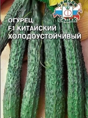 What is unique about the Chinese cucumber and how to get a decent harvest?
