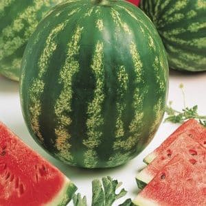 Popular watermelon variety Crimson Sweet: overview of advantages, disadvantages and growing technology