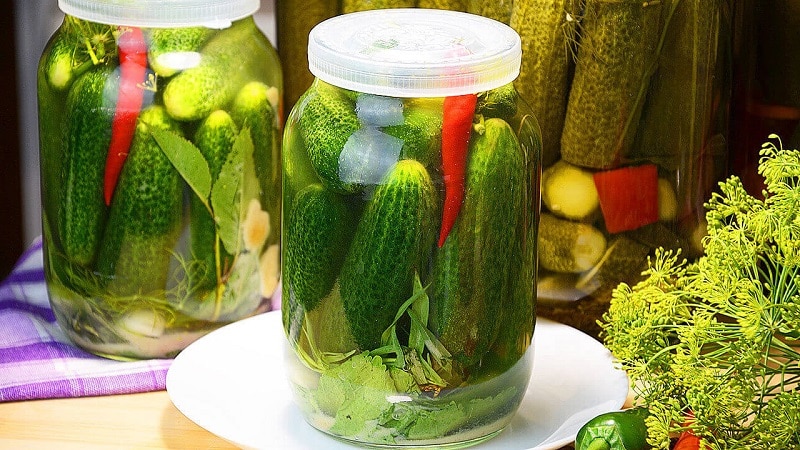 The best recipes for cold pickling cucumbers under a nylon lid