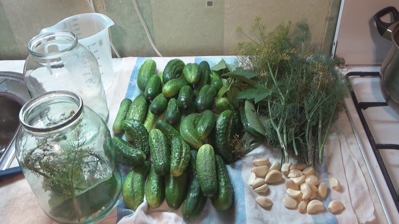 The best recipes for cold pickling cucumbers under a nylon lid