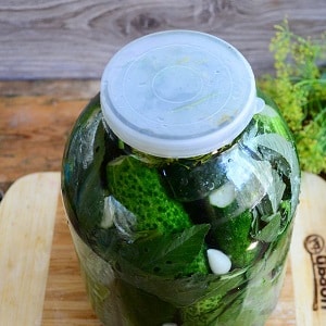 The best recipes for cold pickling cucumbers under a nylon lid