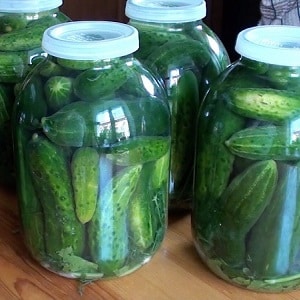 The best recipes for cold pickling cucumbers under a nylon lid