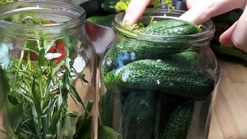 The best recipes for cold pickling cucumbers under a nylon lid