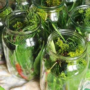 The best recipes for cold pickling cucumbers under a nylon lid