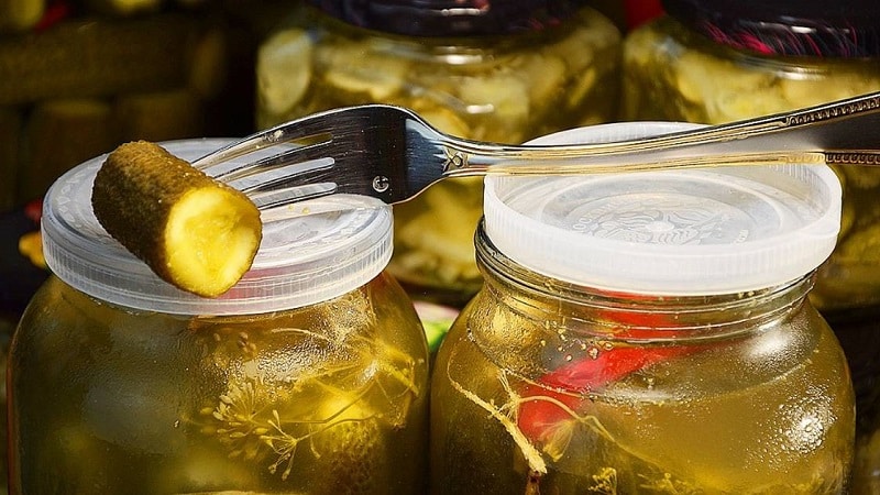 The best recipes for cold pickling cucumbers under a nylon lid