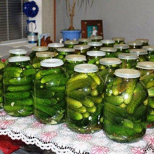 The best recipes for cold pickling cucumbers under a nylon lid