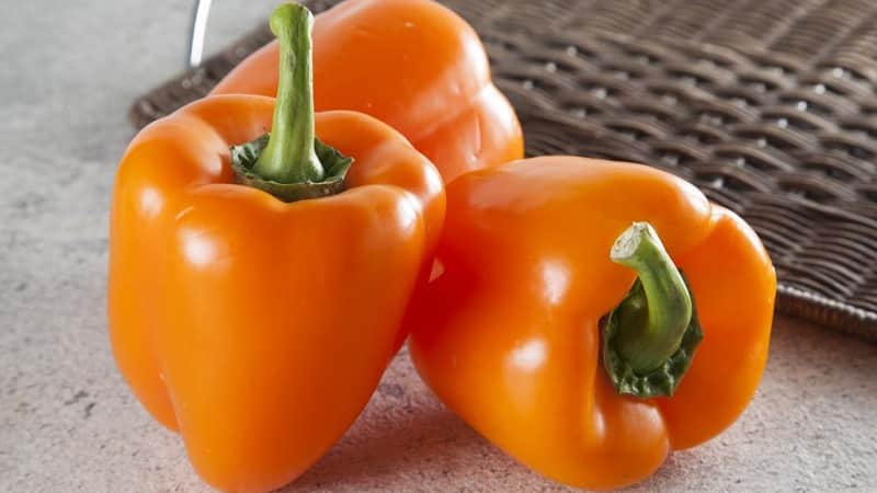 The best sweet pepper varieties for greenhouses in the Moscow region