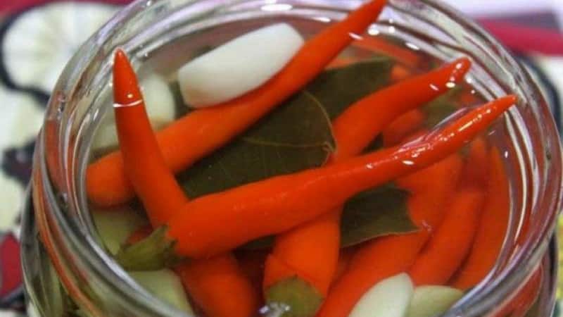 The best ways to prepare hot peppers for the winter: recipes for preserving and drying the hot seasoning