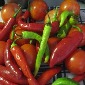 The best ways to prepare hot peppers for the winter: recipes for preserving and drying the hot seasoning