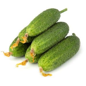Tasty and easy to grow Lukhovitsky cucumbers