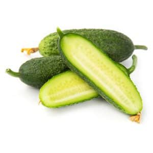 Tasty and easy to grow Lukhovitsky cucumbers