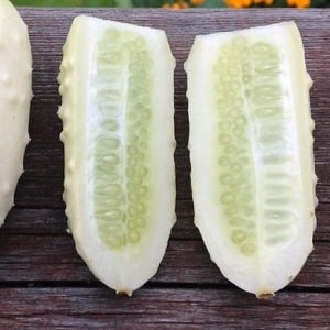 The favorite of many summer residents is the White Angel cucumber variety with an unusual appearance and pleasant taste.