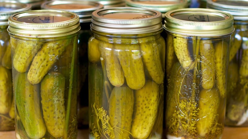 Is it possible to pickle cucumbers with apple cider vinegar for the winter and how to do it correctly