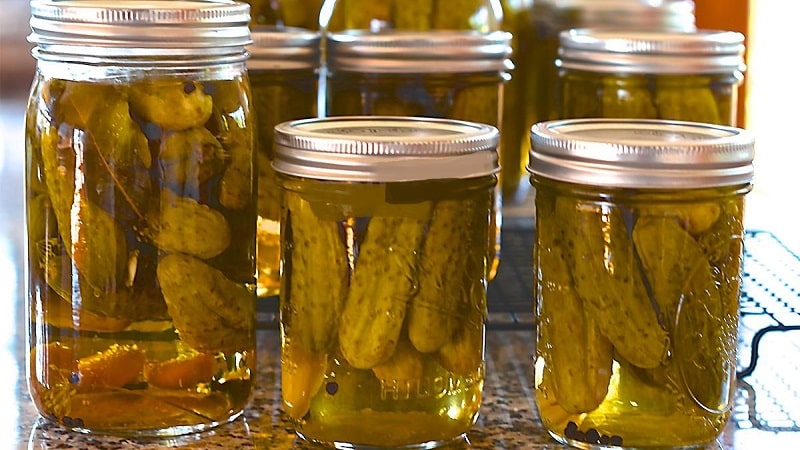 Is it possible to pickle cucumbers with apple cider vinegar for the winter and how to do it correctly