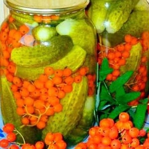 Is it possible to pickle Zozulya cucumbers and how to do it correctly